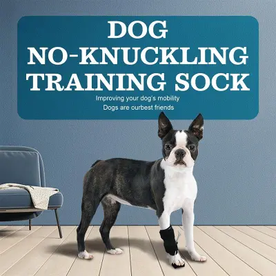 Dog Front Leg No-Knuckling Training Sock 02