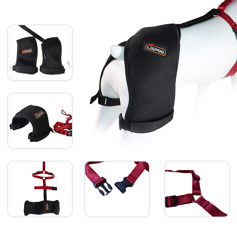 Best Dog Hip Dysplasia Support Brace For Sale LOVEPLUSPET