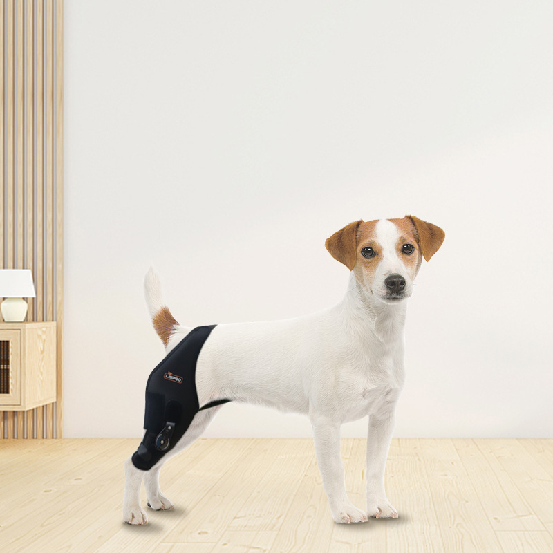 Adjustable Dog Acl Brace