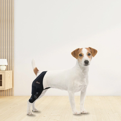 Adjustable Dog Acl Stand 02