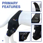 Adjustable Dog Acl Brace