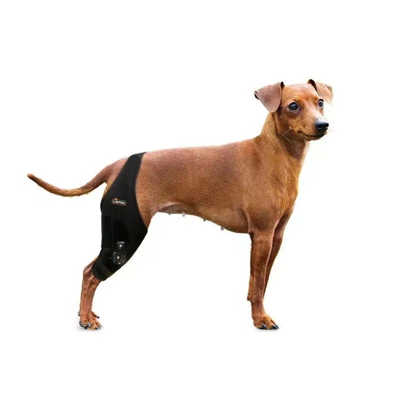 Adjustable Dog Acl Brace
