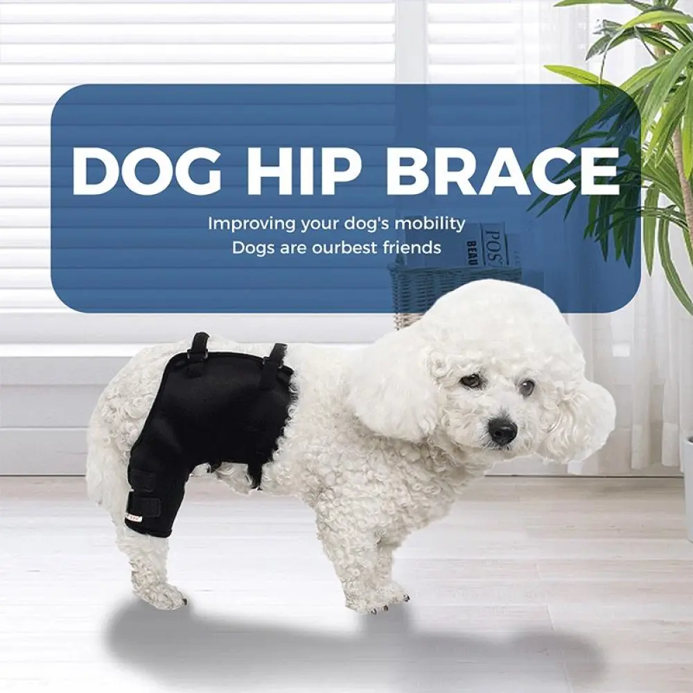 Dog Hip Hound Brace