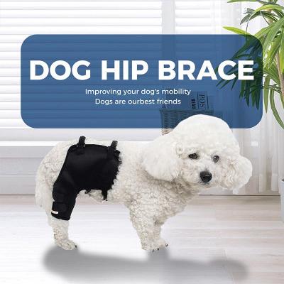 Dog Hip Hound Brace 02