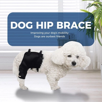 Dog Hip Hound Brace 02