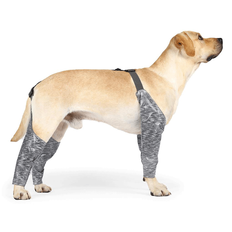 Dog Leg Protective Covers Anti-Licking Anti-Dirt 01