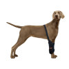 Dog Wrist Brace Sports Protection