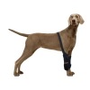 Dog Wrist Brace Sports Protection