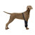 Dog Wrist Brace Sports Protection