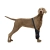 Dog Wrist Brace Sports Protection