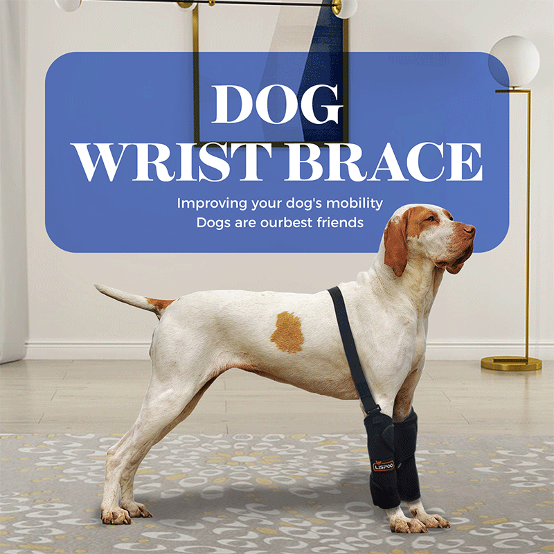 Dog Wrist Brace Sports Protection 02