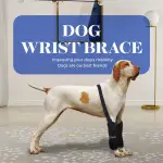 Dog Wrist Brace Sports Protection