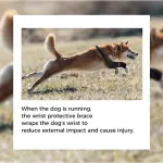 Dog Wrist Brace Sports Protection