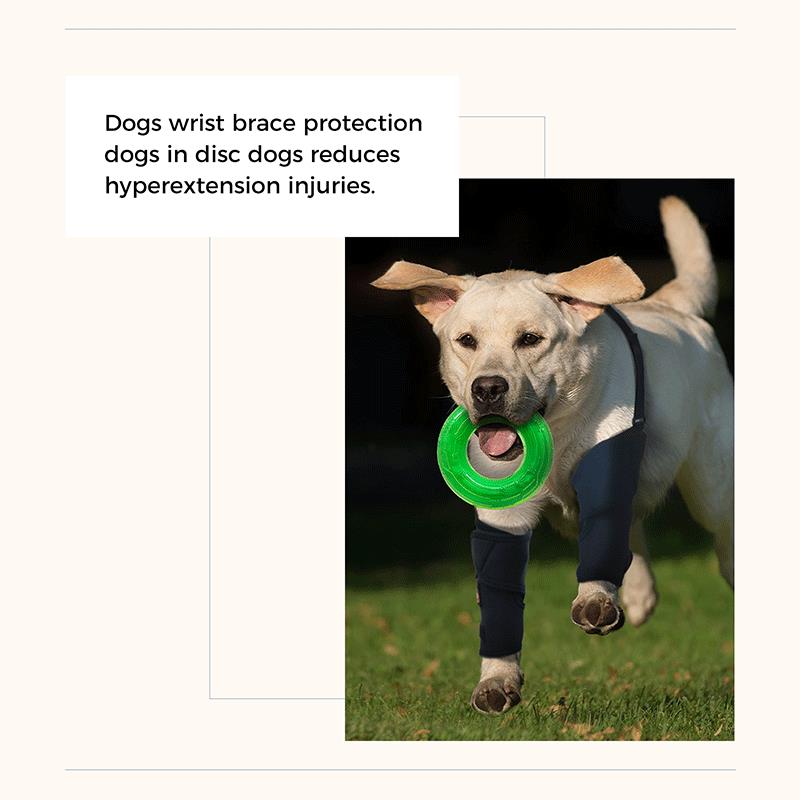 Protective sports dog wristband