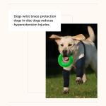 Dog Wrist Brace Sports Protection