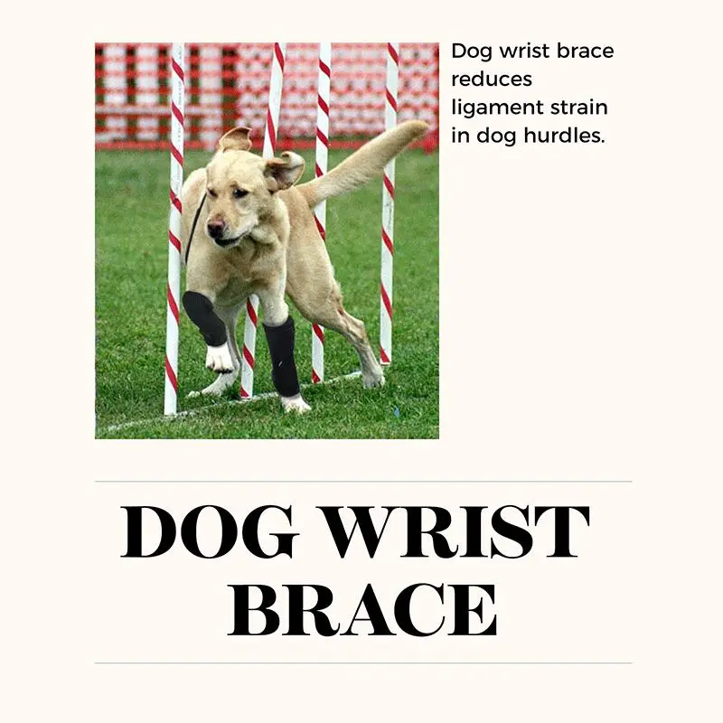 Dog Wrist Brace Sports Protection