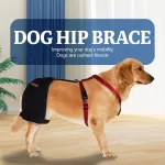 Golden Retriever Dog Hip Brace for Hip Dysplasia