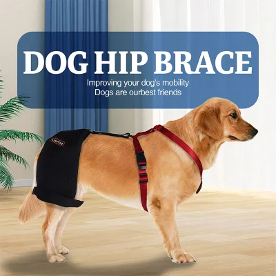 Golden Retriever Dog Hip Brace for Hip Dysplasia 02