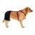 Golden Retriever Dog Hip Brace for Hip Dysplasia