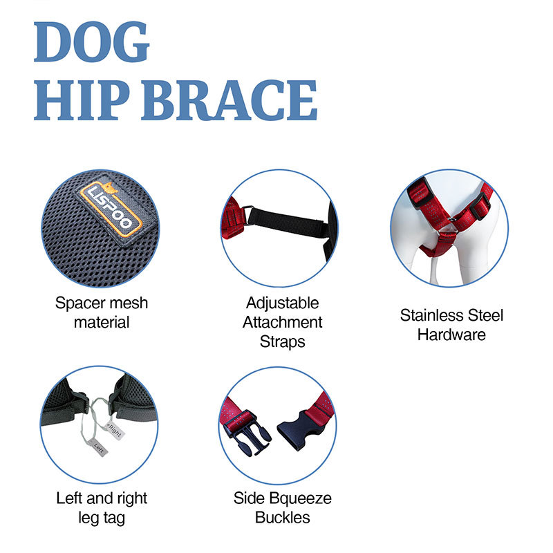 Golden Retriever Dog Hip Brace for Hip Dysplasia