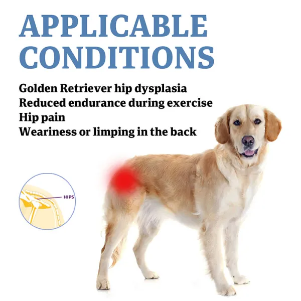 Golden Retriever Dog Hip Brace for Hip Dysplasia