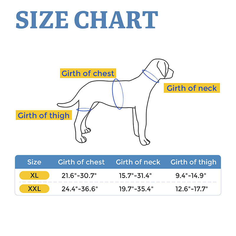 Golden Retriever Dog Hip Brace for Hip Dysplasia | Lovepluspet