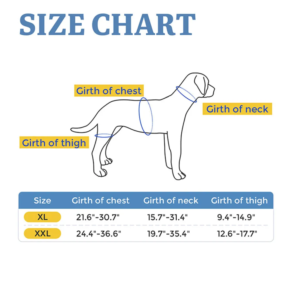 Golden Retriever Dog Hip Brace for Hip Dysplasia