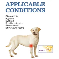 Labrador Dog Elbow Protector Support Brace