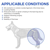 Golden Retriever Dog Single Leg Support Brace