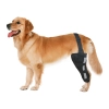 Golden Retriever Dog Single Leg Support Brace