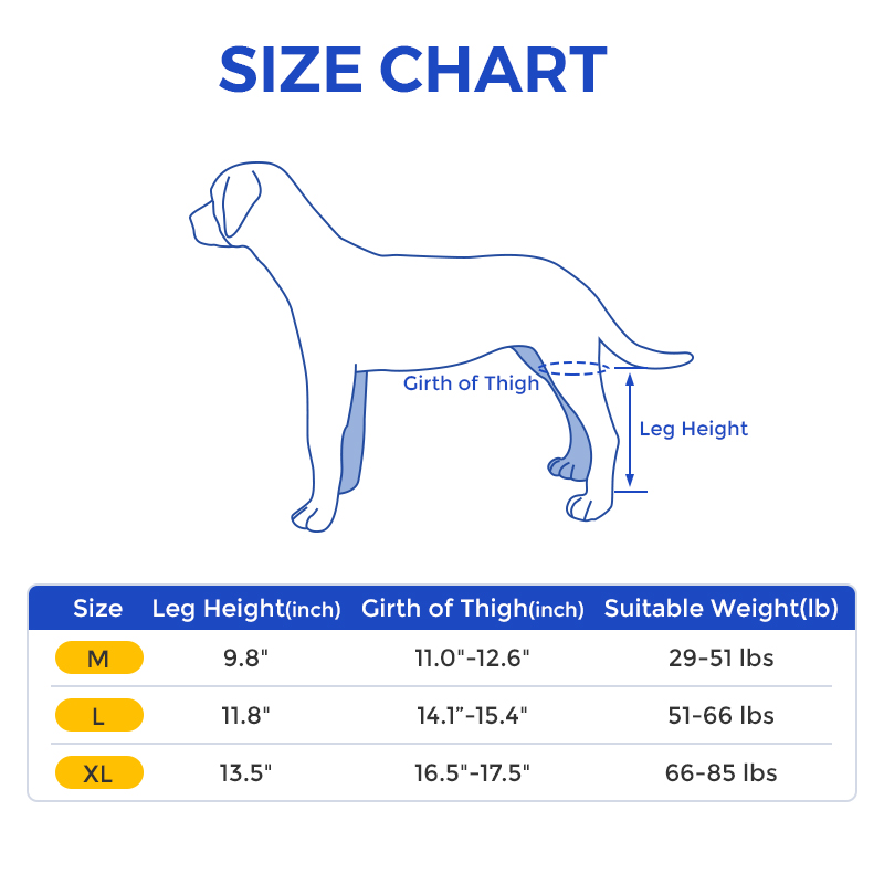 Golden Retriever Dog Single Leg Support Brace | Lovepluspet