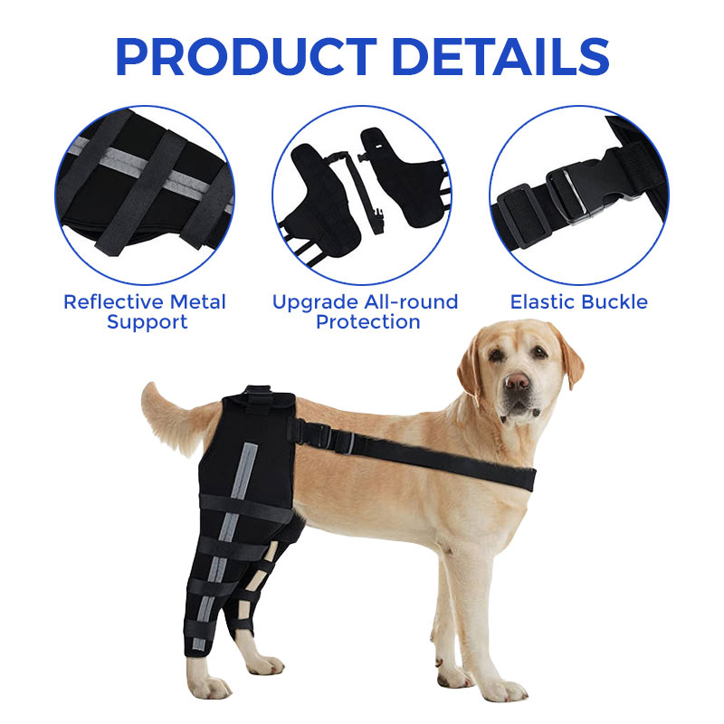 Labrador Dog Double Hind Legs Support Brace