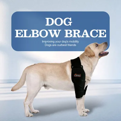 Labrador Dog Elbow Protector Support Brace 02