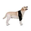 Labrador Dog Elbow Protector Support Brace