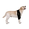 Labrador Dog Elbow Protector Support Brace