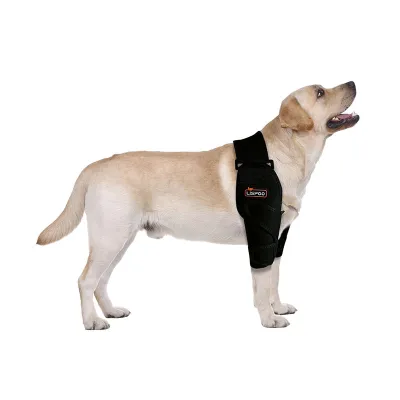 Labrador Dog Elbow Protector Support Brace 01