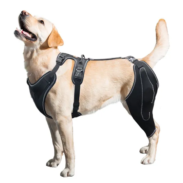 Dog Knee Brace for Torn Acl Hind Leg