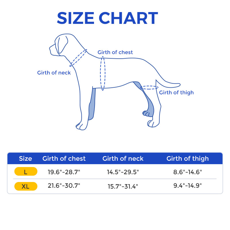 Best Hip Support Brace for Golden Retriever