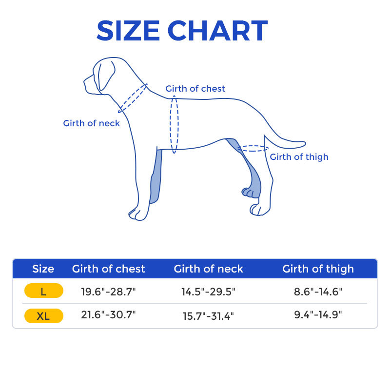 Best Hip Support Brace for Golden Retriever