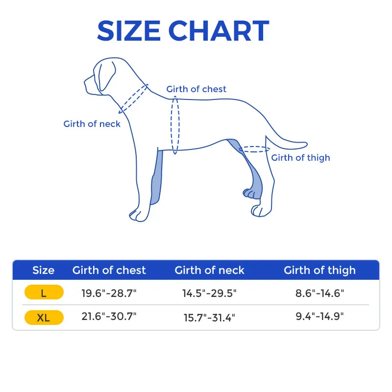 Best Hip Support Brace for Golden Retriever