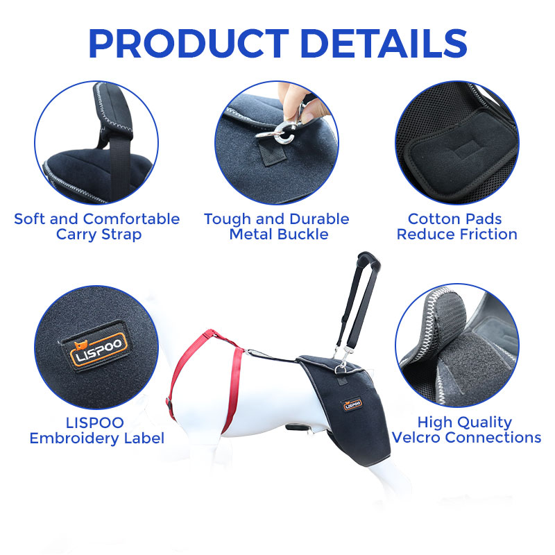 Best Hip Support Brace for Golden Retriever