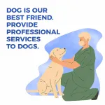 Best Hip Support Brace for Golden Retriever