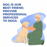 Best Hip Support Brace for Golden Retriever