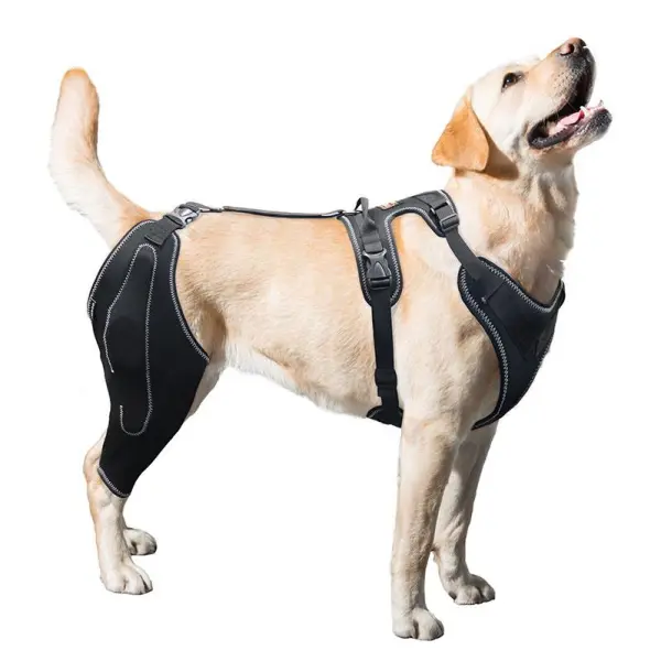 Dog Knee Brace for Torn Acl Hind Leg