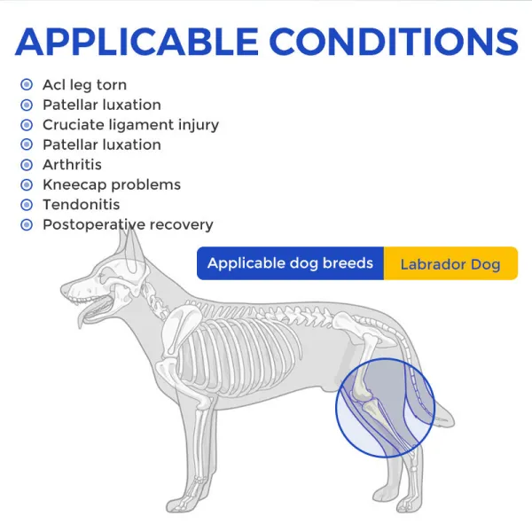 Labrador Dog Knee Brace for Acl Leg Tear
