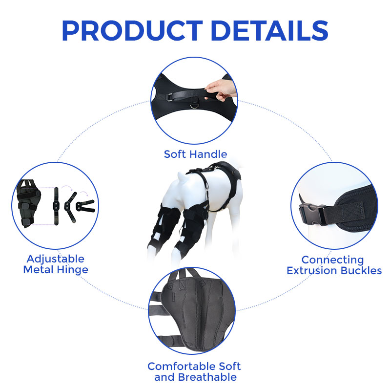 Labrador Dog Knee Brace for Acl Leg Tear