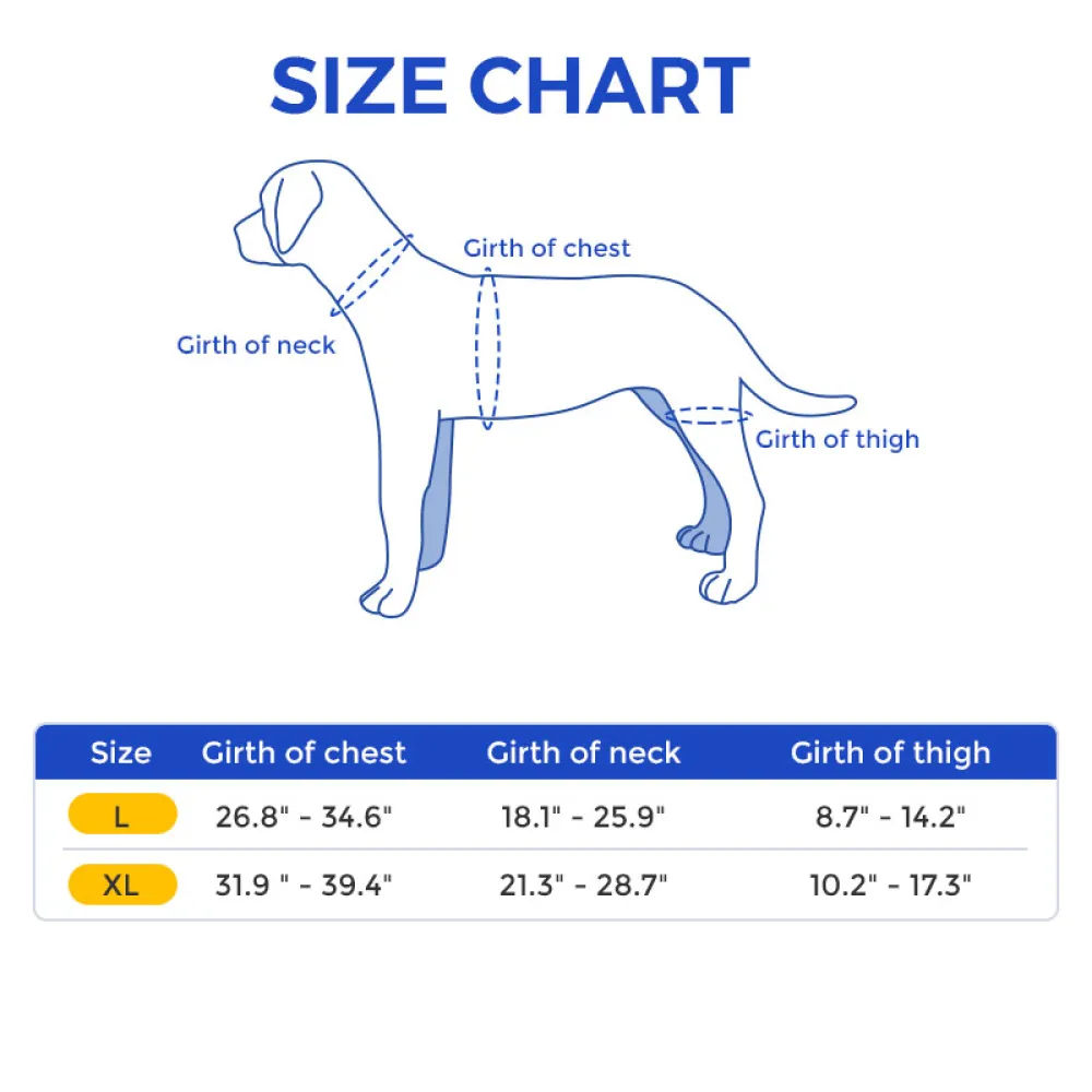 Labrador Dog Knee Brace for Acl Leg Tear