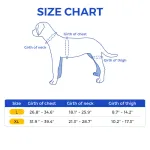Labrador Dog Knee Brace for Acl Leg Tear