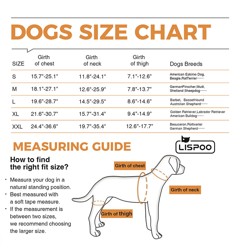 Hip Brace for Dogs with Hip Dysplasia Lovepluspet