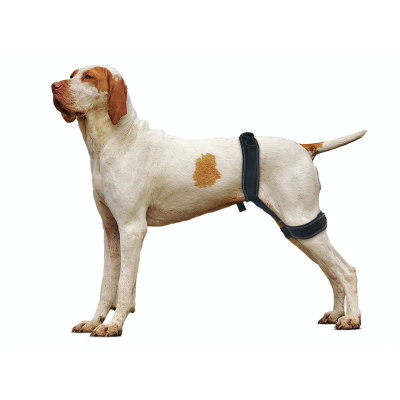 Dog Hip Brace for Hind Leg 01